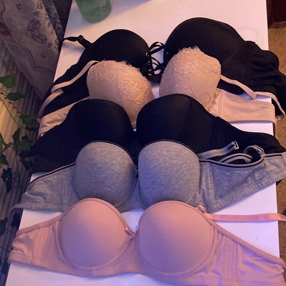 5 multicolored push-up bras